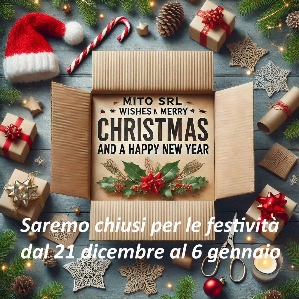 Al momento stai visualizzando Festività Natalizie